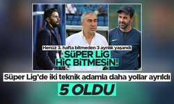 Spor Toto Süper Lig'de teknik direktör ayrılıkları yaşanmaya devam ediyor