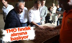 TMO fındık alımına başlıyor