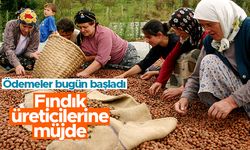 Bekir Pakdemirli'den fındık üreticilerine müjde - Ödemeler bugün başladı