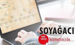 E-devlet'e yeni özellik - Soy ağacı tasarlama