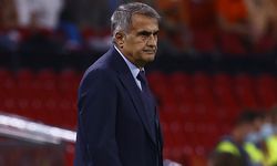 Hollanda'da 'Şenol Güneş istifa' sesleri
