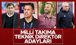 Şenol Güneş'in ardından Milli Takım teknik direktörü kim olacak?