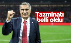 Şenol Güneş'in tazminatı belli oldu