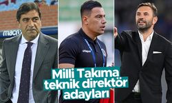 Şenol Güneş istifa ederse yerine kim geçecek? - İşte konuşulan isimler...