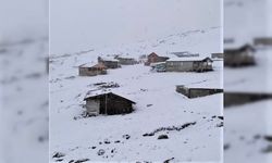 Sivas’ta mevsimin ilk karı düştü