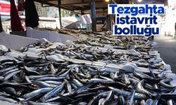Tezgahta istavrit bolluğu - 20.09.2021 balık fiyatları