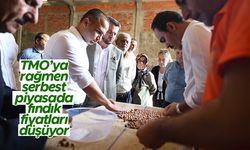 TMO’ya rağmen serbest piyasada fındık fiyatları düşüyor