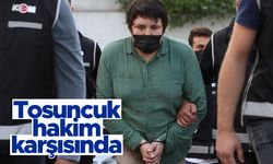 Tosuncuk lakaplı Mehmet Aydın hakim karşısında
