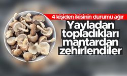 Trabzon'un Sürmene ilçesinde yayladan topladıkları mantardan 4 kişi zehirlendi