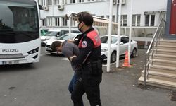 Trafikte tartıştıkları kişilere kurşun yağdıran zanlılar adliyeye sevk edildi