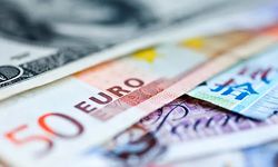 Dolar 13 TL'yi geçti; Euro 15 TL'yi gördü