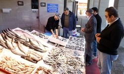 Hamsi avı azaldı, fiyatı arttı