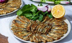 Hamsinin fiyatı bir günde ikiye katlandı