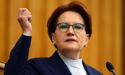 Şükrü Kuleyin, 'Meral Akşener'e edilen küfürler ne olacak' diye sordu