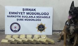 Şırnak’ta terörün finans kaynaklarına operasyon: 34 gözaltı