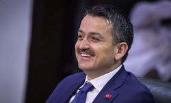 Bekir Pakdemirli: Sabırlı olalım, fiyatlar düşecek