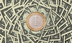 Dolar aniden 1 TL'ye düşerse ne olur?