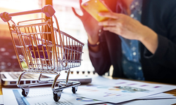 Ticaret Bakanlığı'ndan 'Şahane İndirim'lere özel ekiple sanal denetim