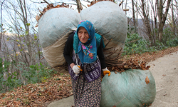 Karadeniz kadınının kuru yaprak mesaisi