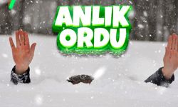 Ordu’da kar insan boyunu geçti