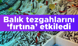 Balık tezgahlarına 'fırtına' etkisi