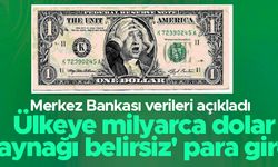 Merkez Bankası verileri açıkladı: Ülkeye milyarca dolar 'kaynağı belirsiz' para girdi