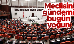 TBMM'nin gündemi bugün yoğun