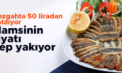 Hamsinin fiyatı cep yakıyor