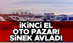 İkinci el oto pazarı sinek avladı