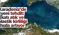"Karadeniz’de katı atık ve plastik kirliliği hızla artıyor"