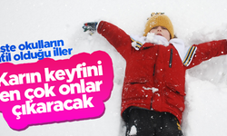 Okulların tatil olduğu iller (17.01.2022)