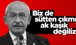 Kemal Kılıçdaroğlu: Biz de sütten çıkmış ak kaşık değiliz
