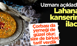 Kanserin ilacı: Lahana