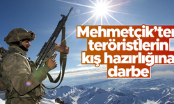 Mehmetçik'ten teröristlerin kış hazırlığına darbe