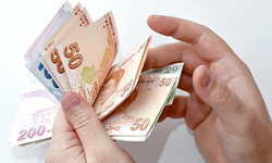 Yeni 50 ve 100 liralar bugünden itibaren tedavüle verilecek