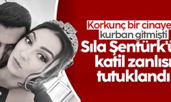 Sıla Şentürk'ün katil zanlısı tutuklandı
