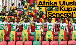 Afrika Uluslar Kupası'nın sahibi Senegal oldu
