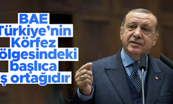 Cumhurbaşkanı Erdoğan: "BAE, Türkiye'nin Körfez bölgesindeki başlıca iş ortağıdır"