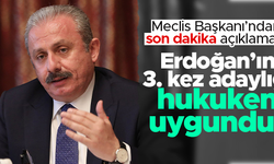 Mustafa Şentop: Cumhurbaşkanı'nın 3. kez adaylığı hukuken uygundur