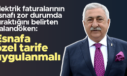 Bendevi Palandöken: Elektrik faturalarına esnafa özel tarife uygulanmalı