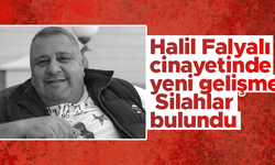 Halil Falyalı cinayetinde yeni gelişme: Silahlar bulundu