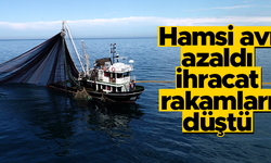 Hamsi avı azalınca ihracatı da düştü