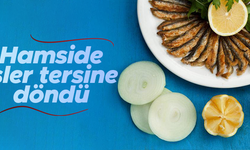 Hamside işler tersine döndü