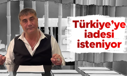 Sedat Peker'in Türkiye'ye iadesi istendi