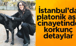 İstanbul'da platonik aşk cinayetinde yeni detaylar: İnternette ‘ölüm mesajları’ aratmış