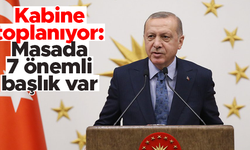 Cumhurbaşkanlığı Kabinesi bugün toplanıyor: Masada 7 önemli konu var