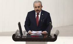 Mustafa Şentop: Rusya-Ukrayna gerilimi yalnızca iki ülke arasındaki gerginlikten ibaret değil
