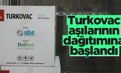 Yeni seri Turkovac aşılarının dağıtımı başladı