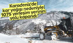 Karadeniz'de kar yağışı nedeniyle 1075 yerleşim yerinin yolu kapandı