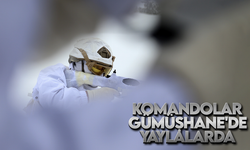 Gümüşhane yaylalarının güvenliği komandolara emanet